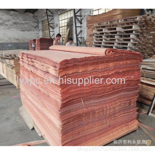 linyi 1300x2500x0.2-0.5mm rotary cut gurjan veneer/natural wood veneer/keruing veneeer with competitive price