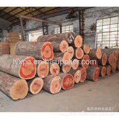 Natural wood veneer type and rotary cut plywood face veneer