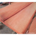 Grade AB rotary cut natural redwood plywood veneer gurjan face veneer for plywood