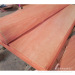 Rotary cut natural redwood plywood veneer gurjan face veneer for plywood