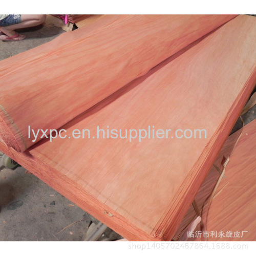 0.28mm nature mersawa wood veneer mersawa face veneer in plywood