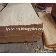 Paramichelia baillonii veneer for plywood and furniture