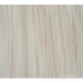 Paramichelia baillonii veneer for plywood and furniture