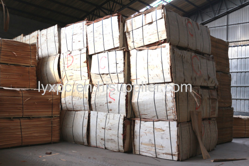 0.3mm keruing wood veneer gurjan face veneeer with grade A face veneer for plywood face veneer