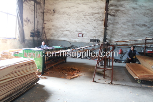 Linyi Bingtangor veneeer plywood sheet