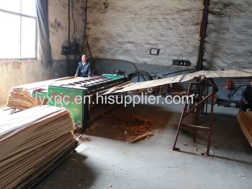 China Factory wood veneer supplier/wood veneer face for plywood /best prices face veneer