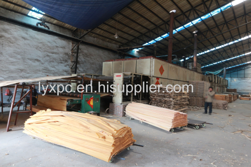 red canarium olive rotary face veneer linyi