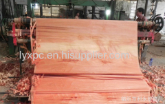 Natural face veneer olive wood 4*8 red olive face veneer supplier in China