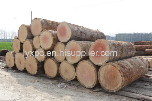 sliced cut natural veneers type okume veneers for plywood