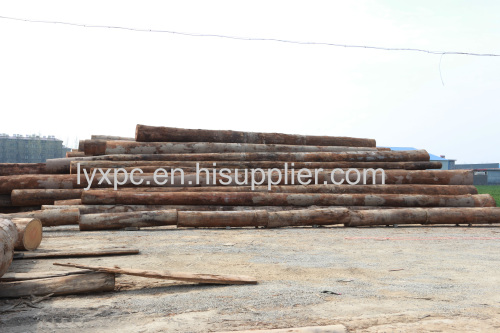 Natural Pencil Cedar Wood Veneer Rotary Cut---Thickness Wood Veneer