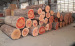 Natural face veneer olive wood 4*8 red olive face veneer supplier in China