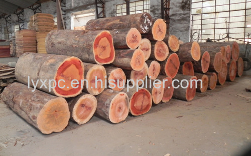 red canarium olive rotary face veneer linyi