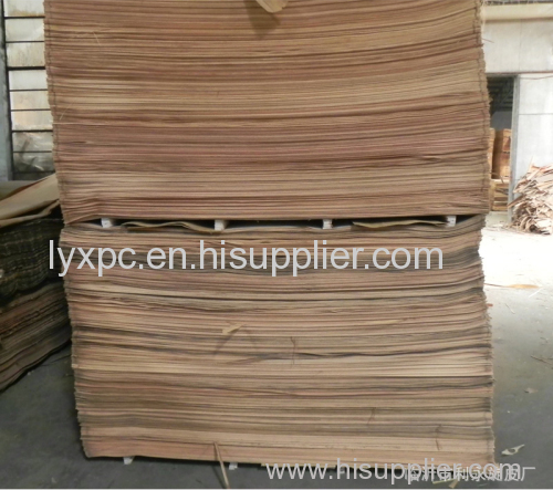 red canarium olive rotary face veneer linyi