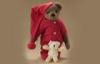 Children / adult Gift Christmas plush Bear Pet puppy 38CM Wearing a red gown