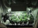 210D Polyester PU Mylar Weed Dark Room Grow Tent with Metal Steel Frame