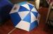 Screen - Plate Printed Polyester 170T / 190T Double Canopy Golf Umbrella Customizable