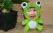 Customization Frog DIY 3D Photo Face , Stuffed Plush 3D Face Dolls