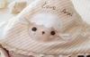 Soft & cuddly Plush beautiful baby blankets with bird applique finished with Saffron 30