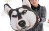 Big Satsuma husky dog head pillow cushions doll large gift 3D Printing 35*38cm