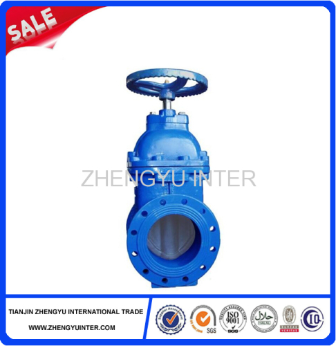 Cast iron gate valve casting parts