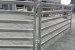 10ft Long 5 Bars Sheep Panel for Farm using