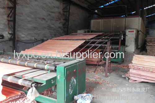 laminated veneer lumber maple veneer birch veneer timber veneer bamboo veneer