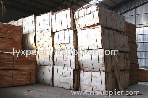 Best price Commerical Bingtangor /okoume veneeer Plywood Made in China