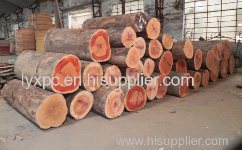 4*8 red olive face veneer