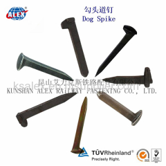 Railway Rail Screw Spike/Manufacturer Railway Rail Screw Spike for Railroad/Railway Rail Screw Spike Supplier