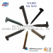 Railway Rail Screw Spike/Manufacturer Railway Rail Screw Spike for Railroad/Railway Rail Screw Spike Supplier