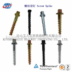 Railway Rail Screw Spike/Manufacturer Railway Rail Screw Spike for Railroad/Railway Rail Screw Spike Supplier