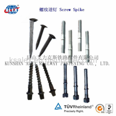 Railway fastener Fish Bolt/Rail fasteners Track Bolt/railroad fastene Railway Fish Boltr/Screw Spike/Railroad Spike