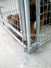 Welded Wire Large dog Kennel with Roof