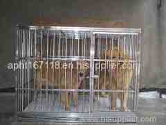 Welded Wire Large dog Kennel with Roof