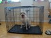 Welded Wire Large dog Kennel with Roof