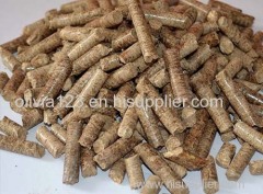 Wood Particle Pellet Machine Price/Wood Shavings Pellet Mill/China Wood Shavings Pellet Mill