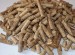 Wood Particle Pellet Machine Price/Wood Shavings Pellet Mill/China Wood Shavings Pellet Mill