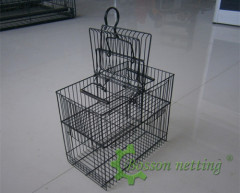 special birds trap cage