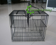 special birds trap cage