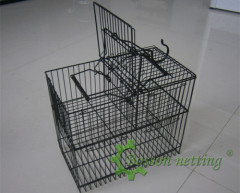 special birds trap cage