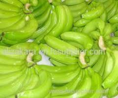 cavendish banana cavendish banana