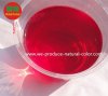 beet root red pigment