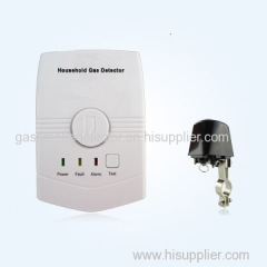 Combustible Gas Detector with Manipulator