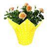 Fastwrap/Clear / Printed / Colorful Indoor Flower Pot Cover for Flower Wrap/pack pot plant in easy w