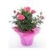 Eco-friendly Recyclable Plant or Flower Pot Covers for Fresh Flowers Retail Store