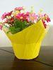 Indoor Fresh flowers Wrapping Pots Plant Pot Covers with Customized Color and Size
