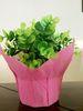 Colored Small Plant Pots Flower Pot Covers Reusable and Eco-friendly