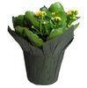 Home Garden Decorative Small Flower Pot Covers with BOPP Plastic , Flower Packaging Bags