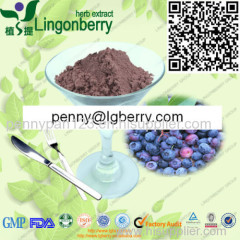 Natural Blueberry Juice Powder
