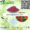 Lingonberry Juice Powder / Lingonberry Juice